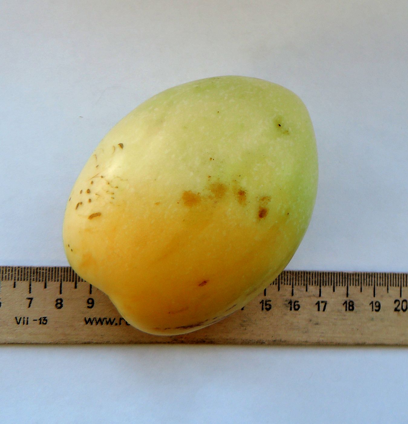 Дынная груша