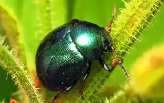 3878
