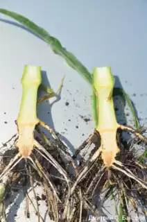 3380