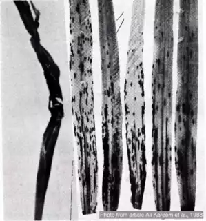 46