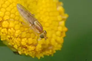 1653