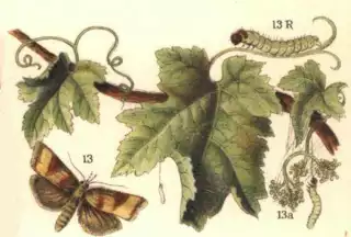 1797