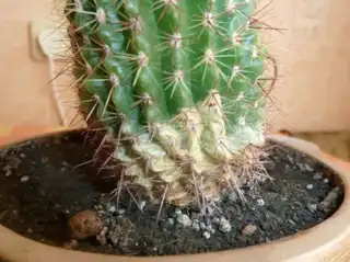 1761