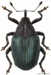 1075