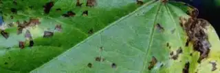1643