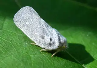 3812