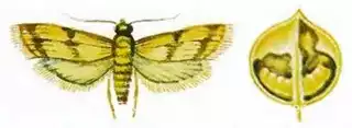 238