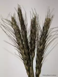 3422