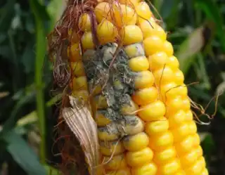 3839