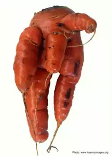 339
