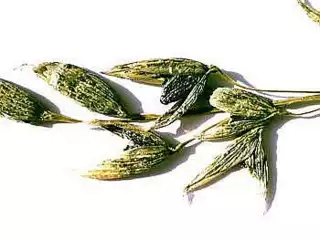 421