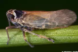 3813