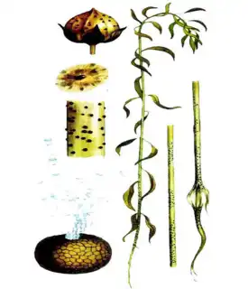 1675