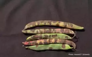 949