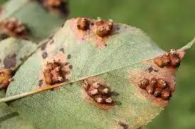 1401