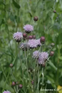 348