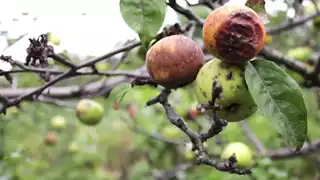 1220