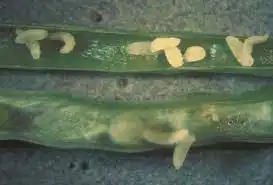 3880