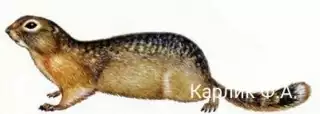170