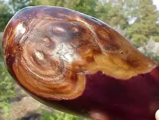 1294