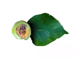 1391