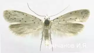253
