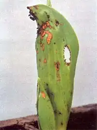 1719