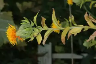 1701