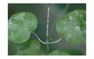 701