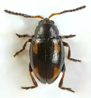 193