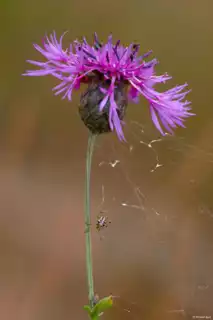 840