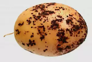 357