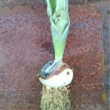 1722