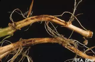 3522