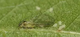 3470