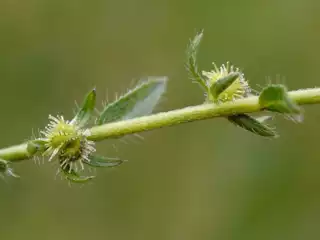 3565