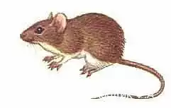 172