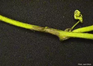 1319
