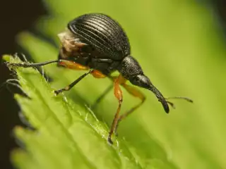 3482