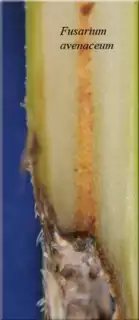 374