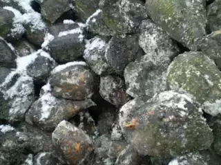 366