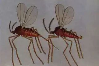 202
