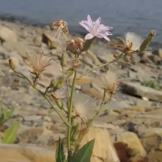 613
