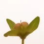 3343