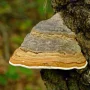 2092