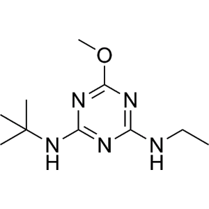 Формула молекулы Тербуметон| Formula of active ingredient Terbumeton 