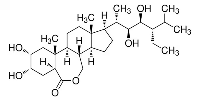 Формула молекулы 28-гомобрассинолид | Formula of active ingredient 28-homobrassinolide 