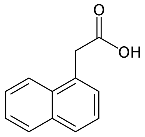 Формула молекулы 1-нафтилуксусная кислота| Formula of active ingredient Alpha naphthylacetic acid 